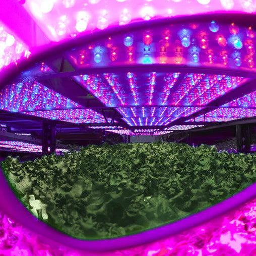 LED CAMERA PHOTO FILTER