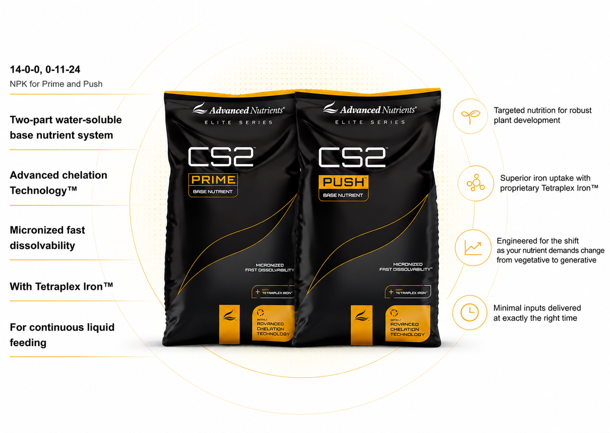 Advanced Nutrients CS2 Push 8th Generation | Bloom Base with Tetraplex Iron