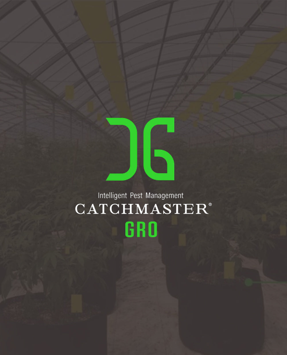 Catchmaster