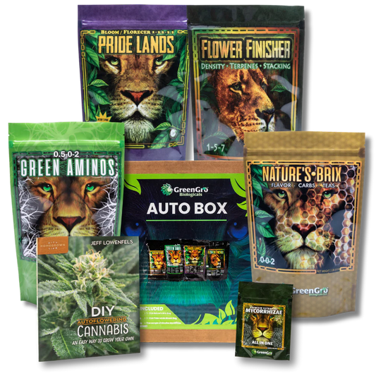 AUTO BOX